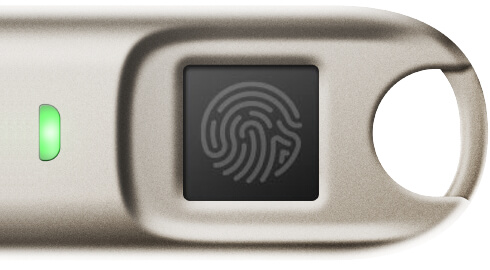 Fingerprint recognition for biometric authentication