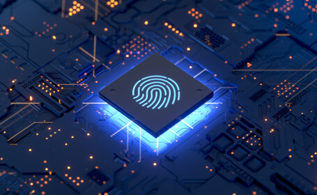 Security chip for secure storage of fingerprint biometric data